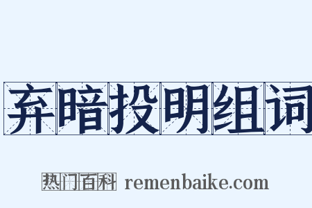 弃暗投明组词是什么意思的图片